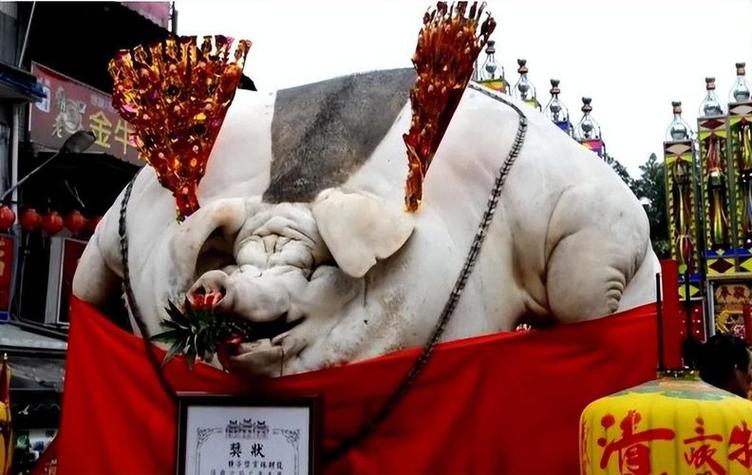 物为猪王,打什么三大生肖