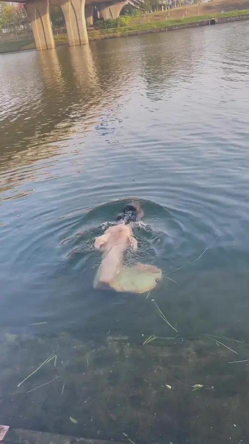 水下游泳