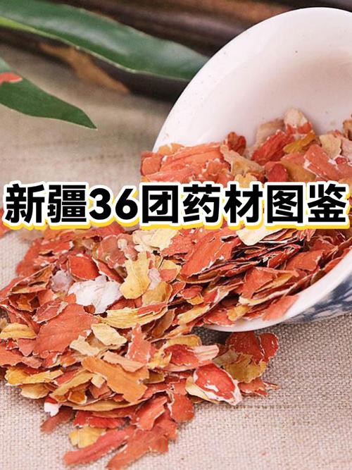 沙漠红花应该怎么喝啊