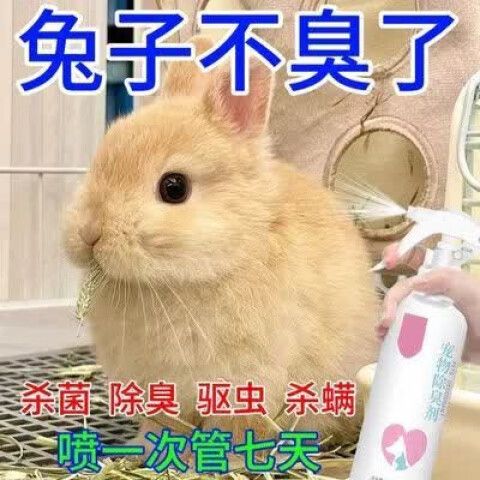 兔子除臭