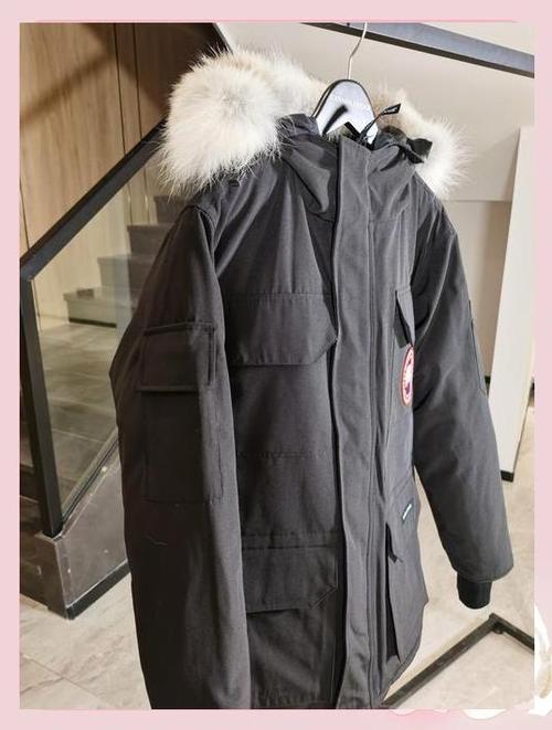 加拿大goose品牌游戏截图