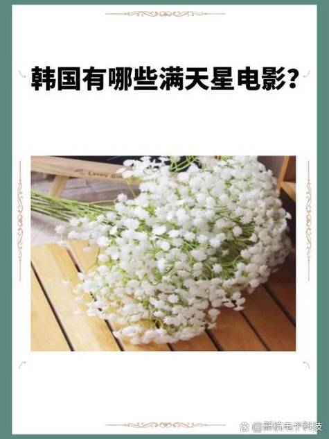 韩剧《满天星》