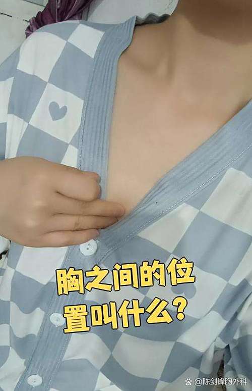 胸在哪里哪个部位