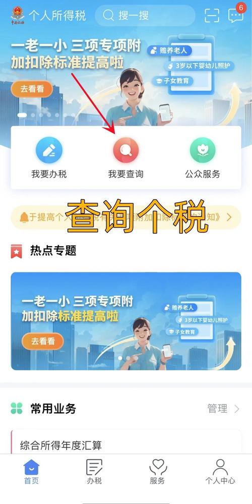 个人所得税怎么查询缴费记录查询
