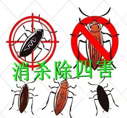 赶走家里老鼠的妙招有哪些图标