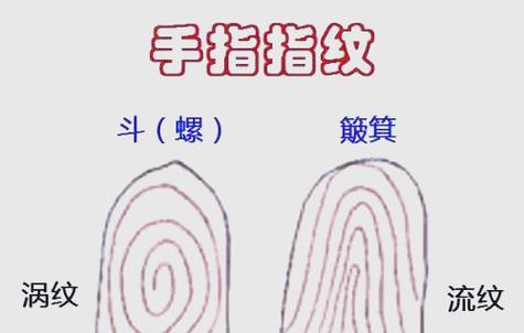 女人手心有指纹说明什么