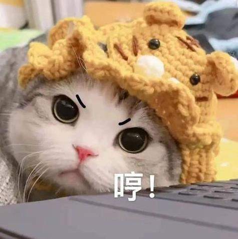 撒娇卖萌最可爱截图