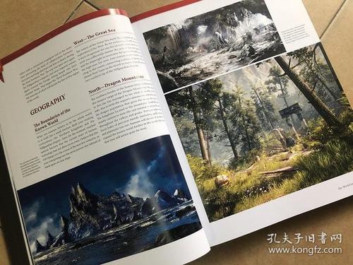 巫师的世界游戏设定集