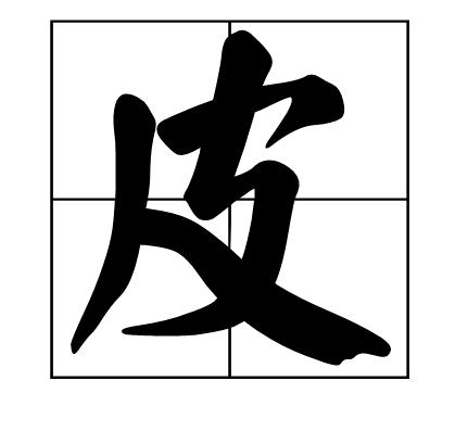 皮加部首