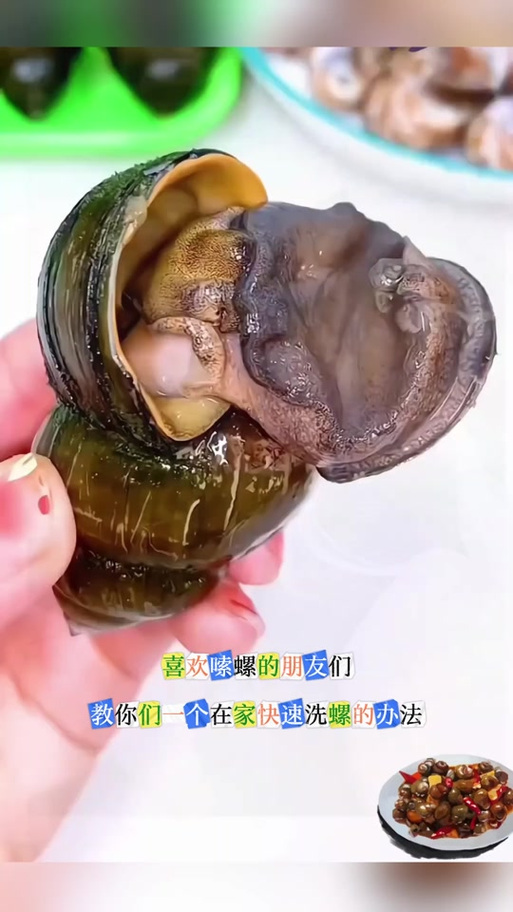 田螺怎么去壳最快