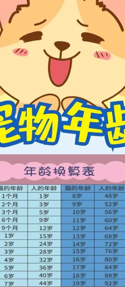 猫4岁相当于人的几岁游戏截图