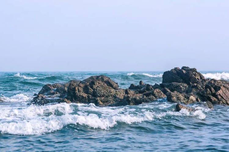 沧海仙途化神期顿悟值怎么获得