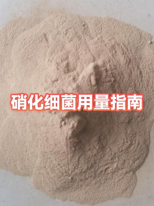 硝化细菌一次加多少图标