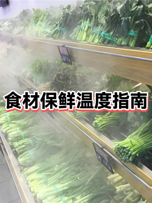 手机一到三个月不用会坏吗