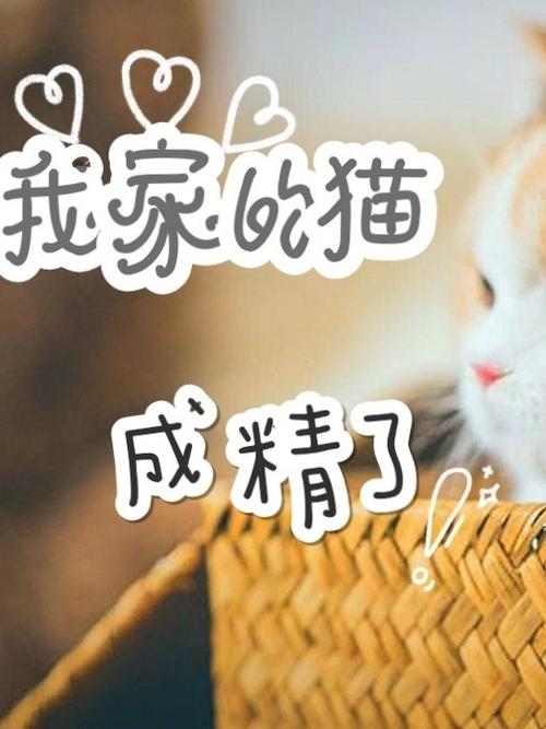 我养的猫成精了百度云