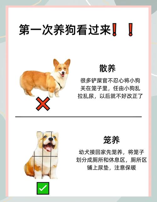 一户一犬多余的狗怎么办