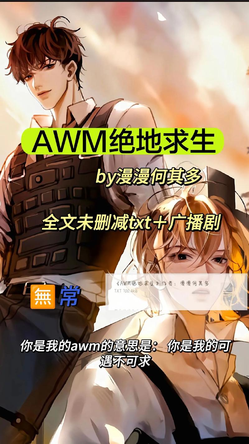 awmTXT下载缩略图