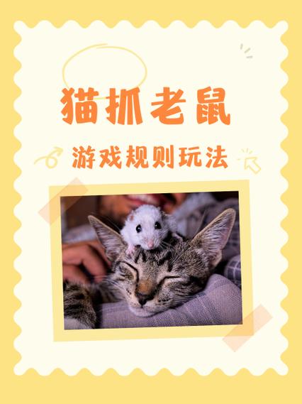 抓猫游戏图标