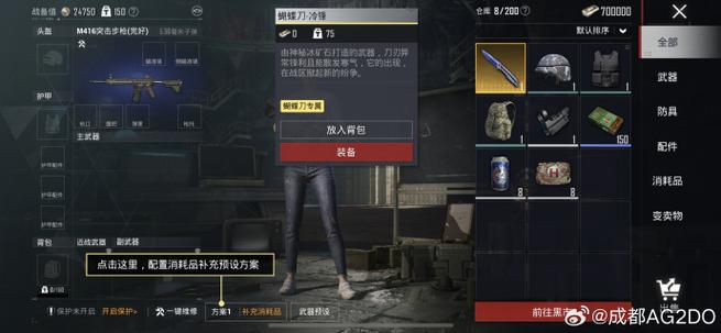 和平精英常用战术语设置截图