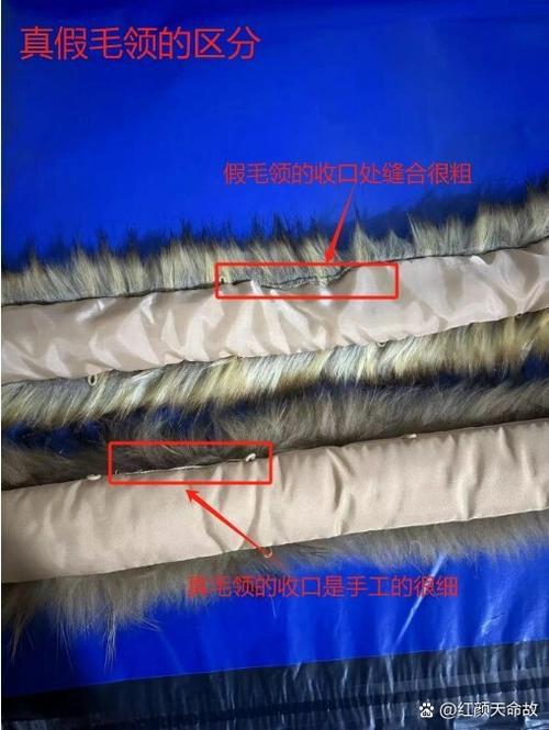 卖毛是什么意思