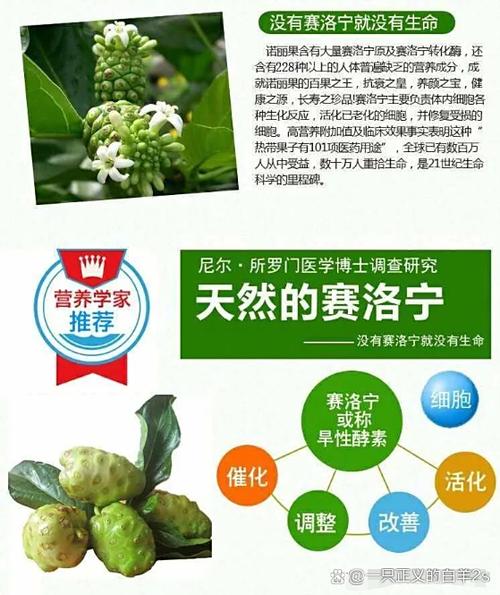 艾多美诺丽果汁真的有那么神奇吗