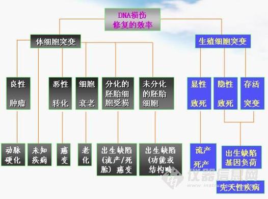 遗传毒性