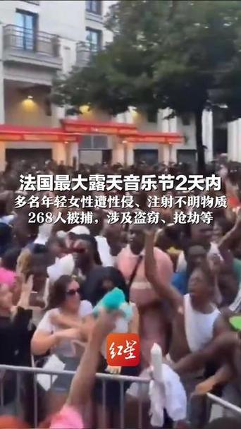 法国露天音乐节沦为暴力现场截图