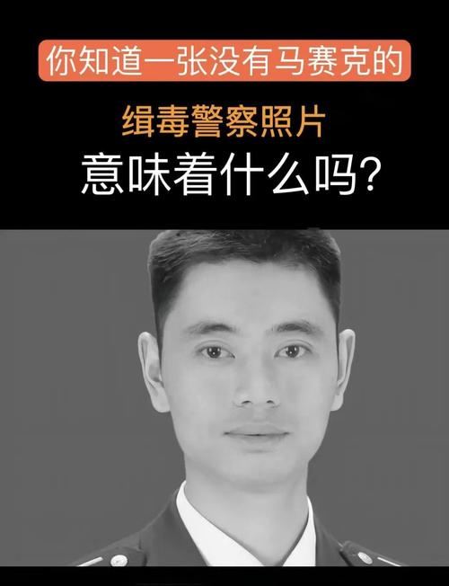 《潜入缉毒警官绝不认输》全集观看图标
