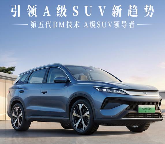 新能源车dm是什么意思截图