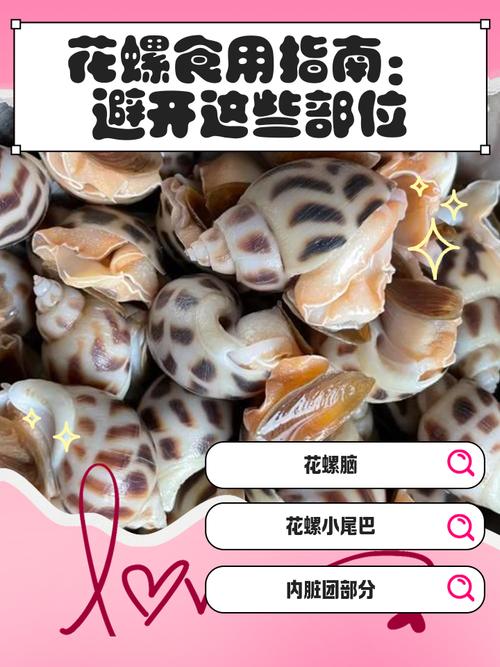 小花螺哪里不能吃