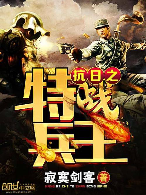 抗日之特战兵王txt精校版