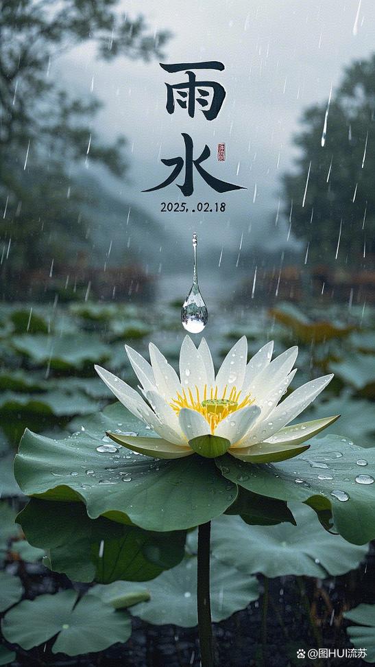 二十四节气最美壁纸