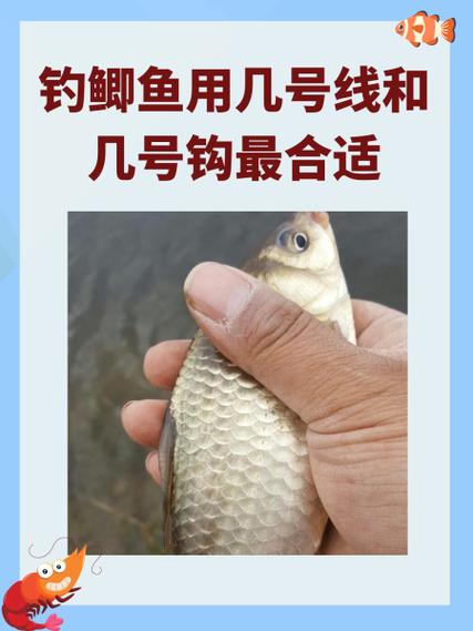 鲫鱼用几号钩钓最好