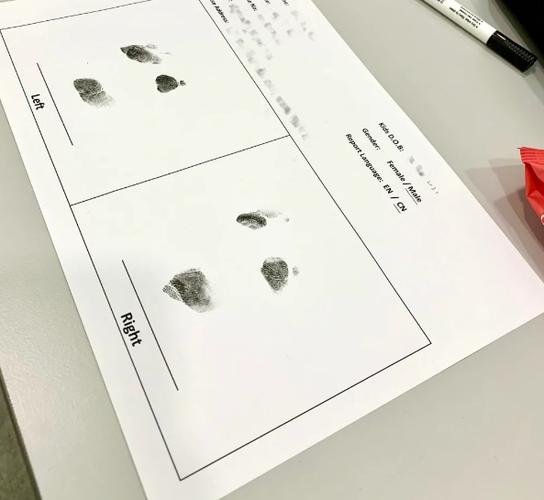 指纹测试天赋有科学依据吗截图