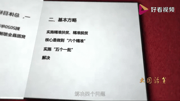 大国治贫之决胜2020心得截图