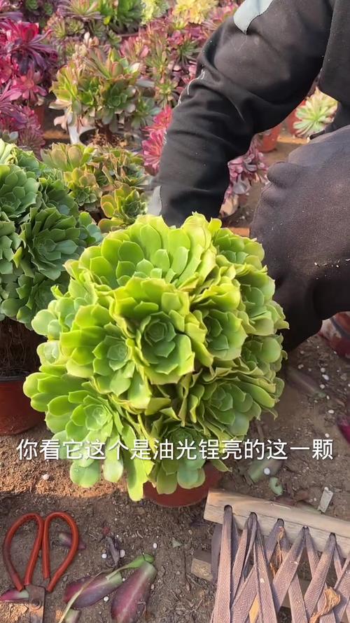 暗黑2法师暖气要加满吗截图