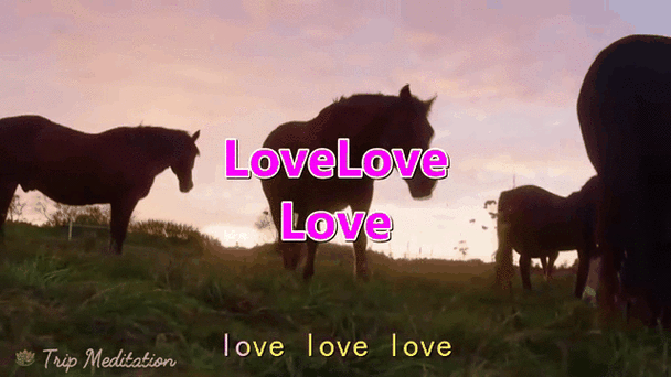 Love 歌词