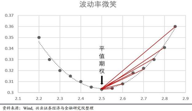 适合期权的大波动品种