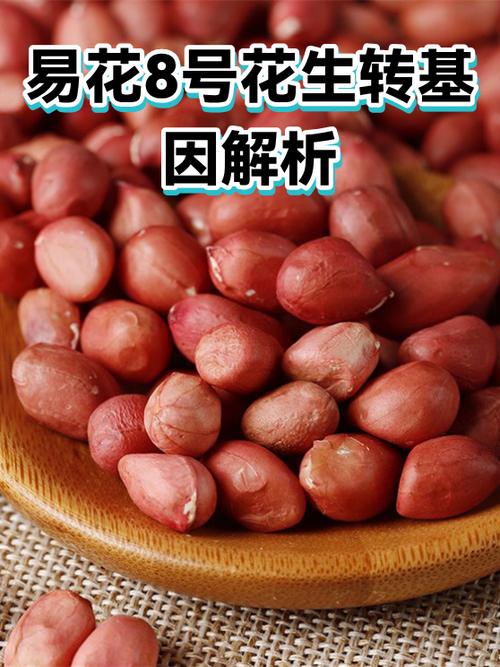 花生转转发文章赚钱