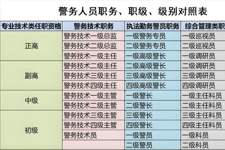 专务是什么职位截图