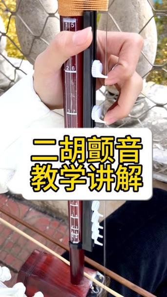 免费二胡教学视频全集缩略图