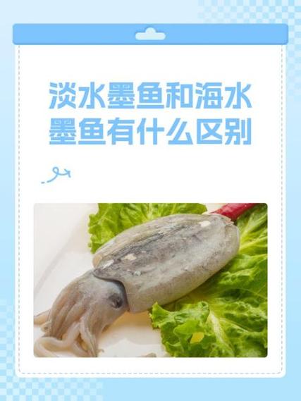 得不到的温柔小说墨鱼