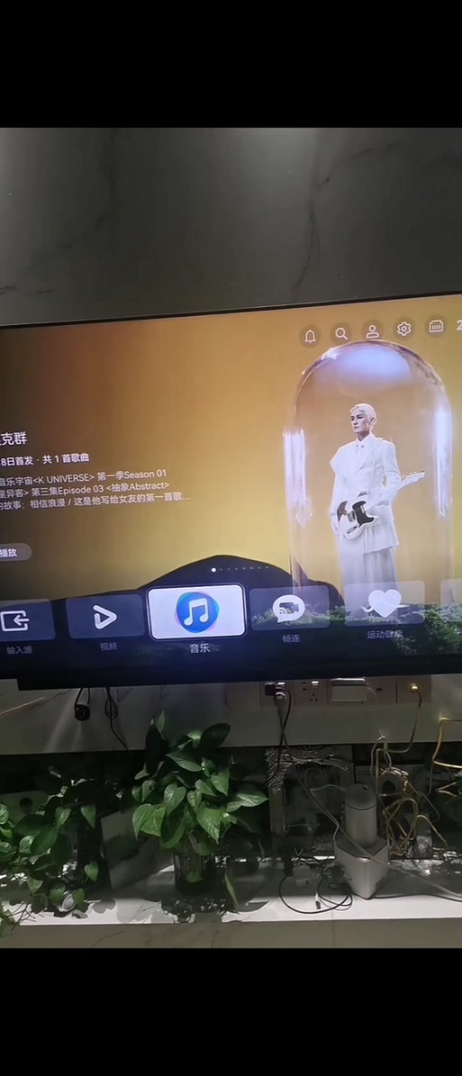 华为电视打不开奇异果的原因