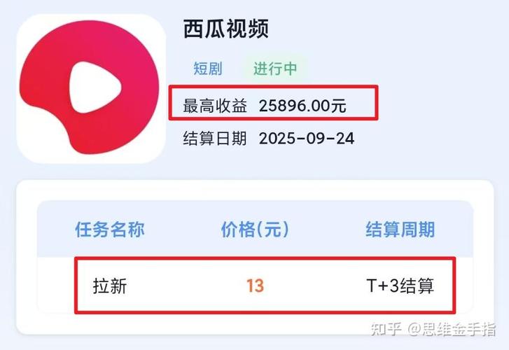 西瓜视频播放量结算游戏截图
