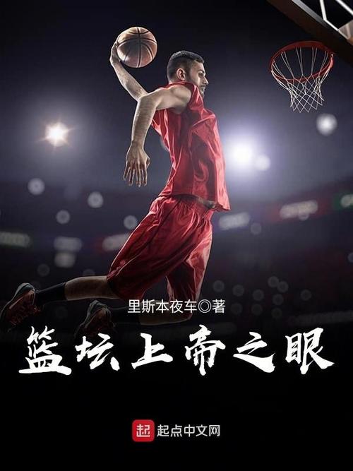 篮坛上帝之眼笔趣阁截图