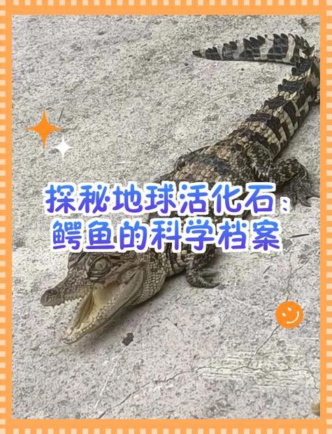 鳄鱼历史有多少年了截图