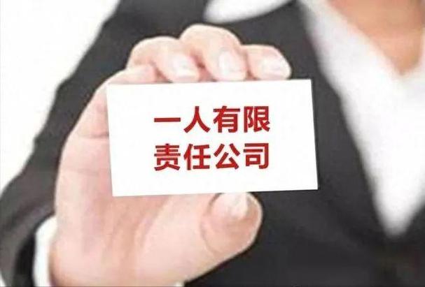 一人有限公司法人承担什么责任