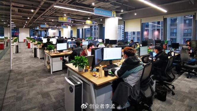 程序员大厂是什么意思