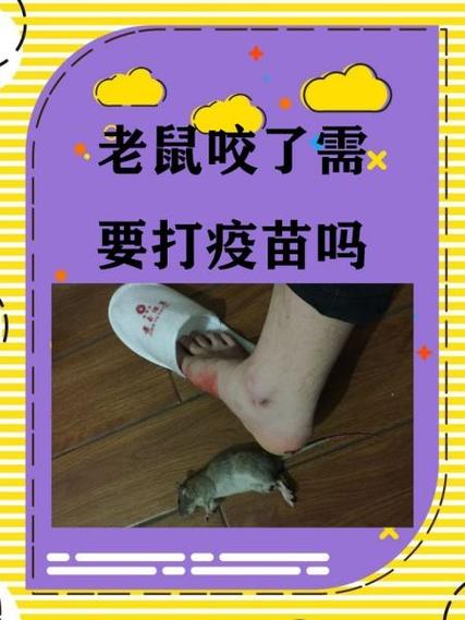 活人被老鼠咬了运气会怎样