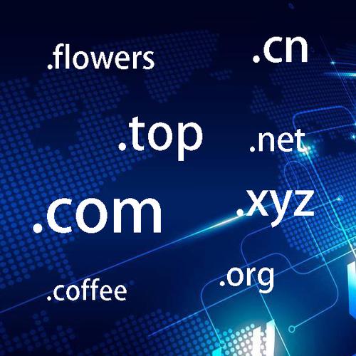 域名注册查询工具图标